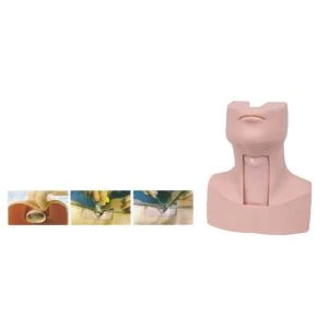 Manichino didattico avanzato per tracheostomia